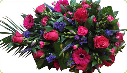 VIBRANT SINGLE ENDED SPRAY