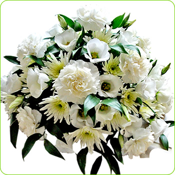 White Posy